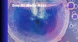 Doç.Dr.Melis AVCI-E.Kitap